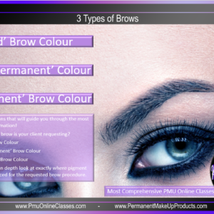 A purple and white background with three types of brows