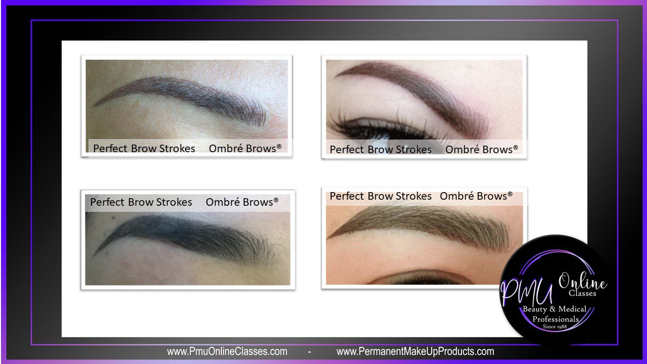 A picture of different types of brows on the same woman.